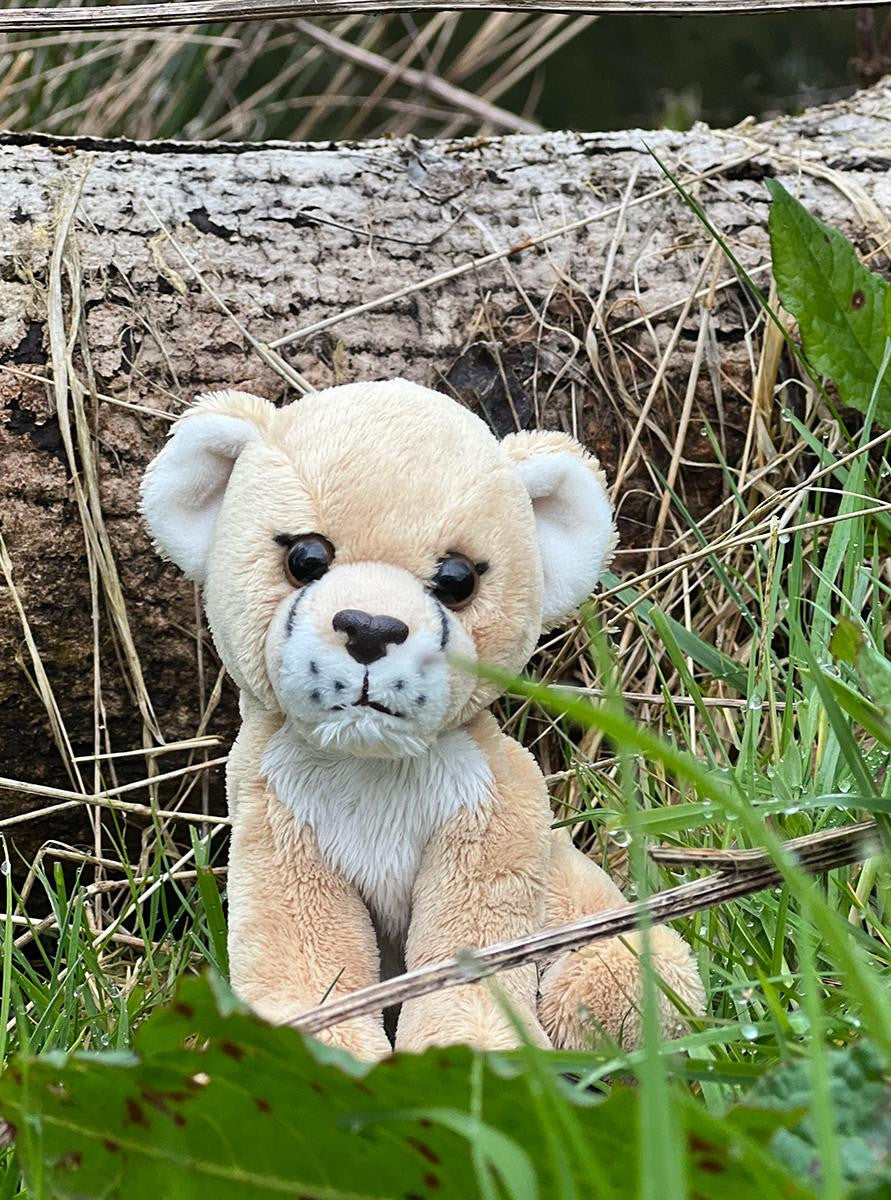 Plush teddy bear in a natural setting with grass and a log.