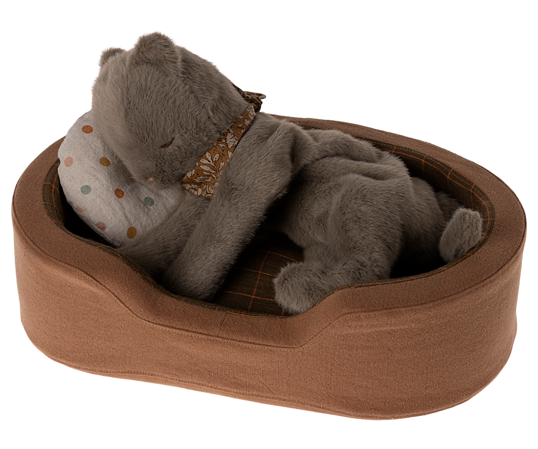 Stuffed gray cat in brown pet bed, wearing patterned neck scarf.