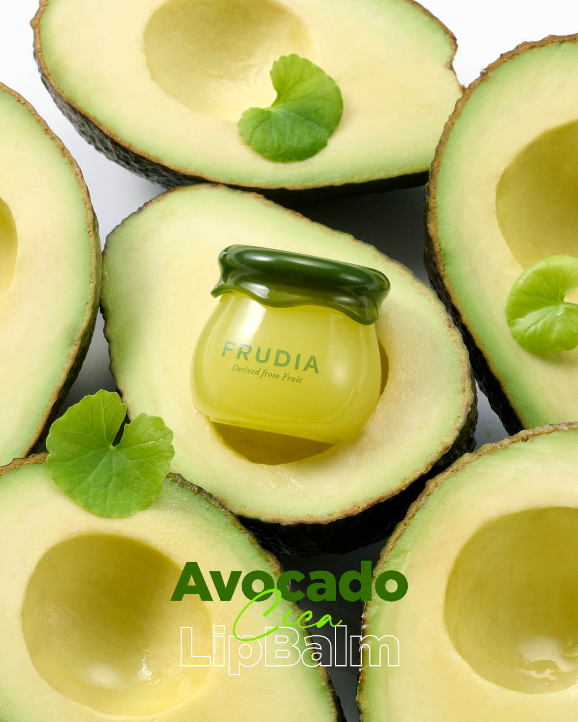 Overhead shot of Avocado lip balm in a Frudia jar surrounded by avocado halves and green leaves.