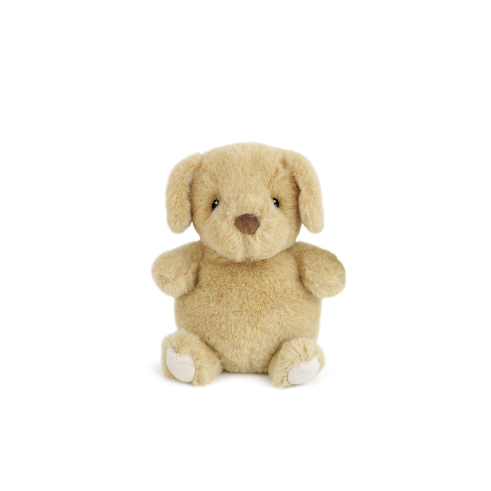 Tan plush dog with light paw pads.
