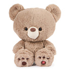 Brown plush teddy bear sitting.