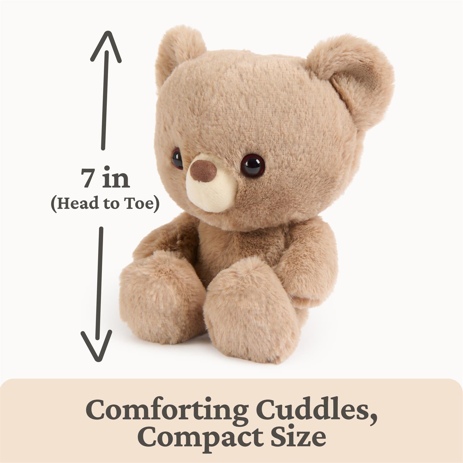 Tan teddy bear, seated, with size information.
