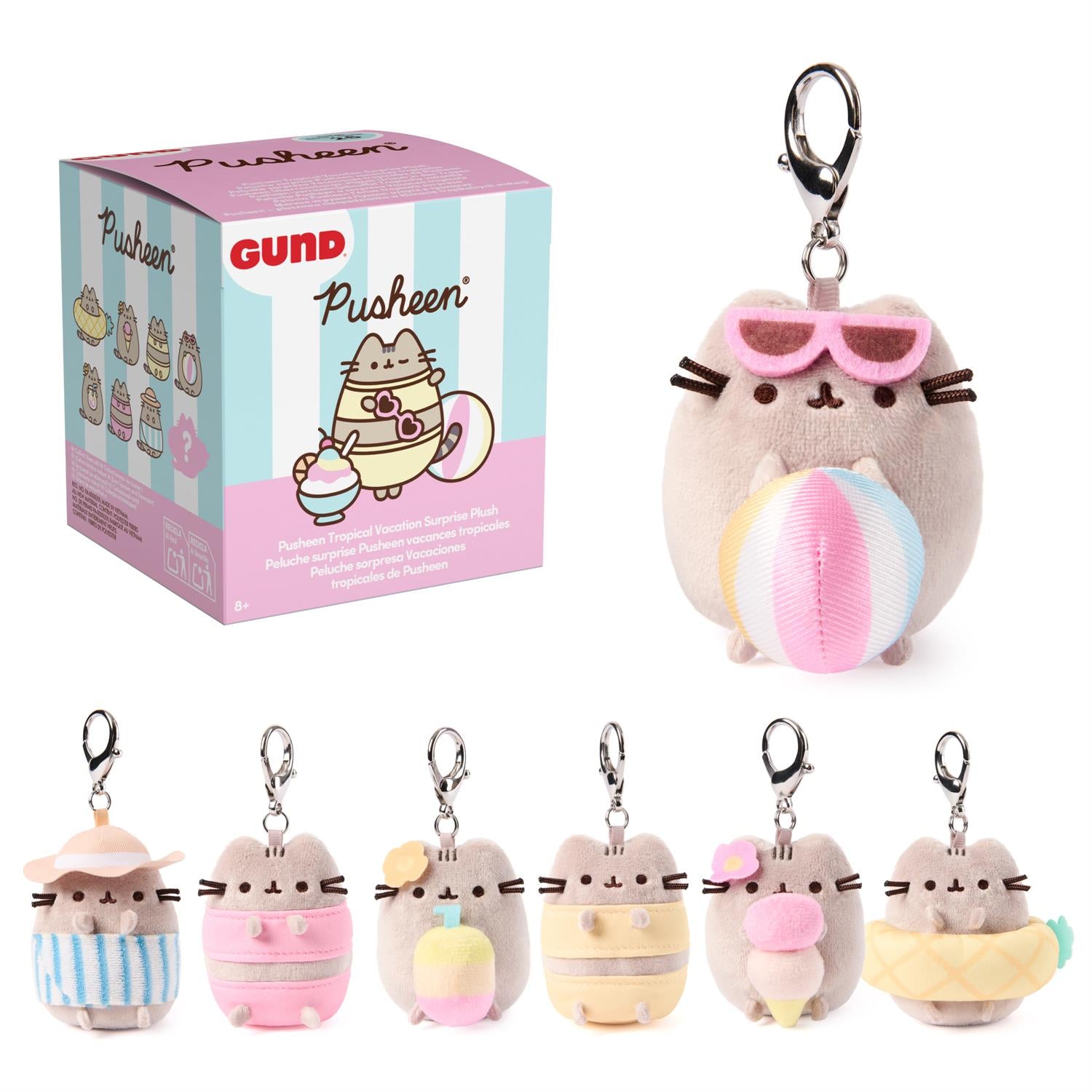 Pusheen plush keychain with packaging and additional keychains on a white background