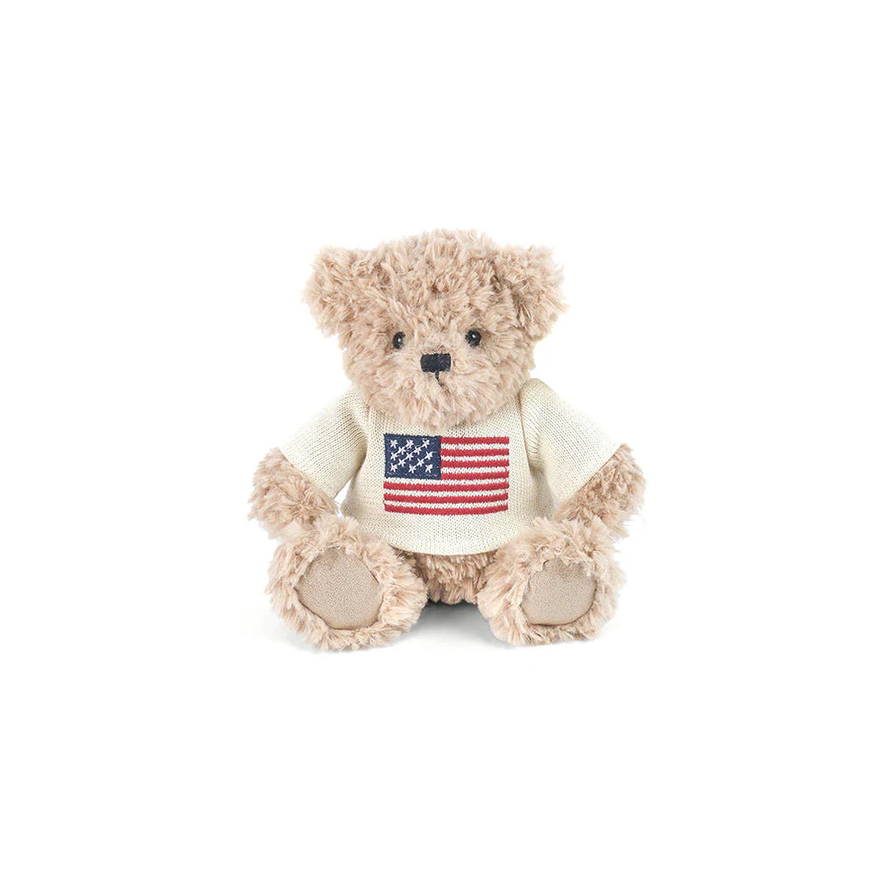 Plush teddy bear wearing a shirt with an American flag on a white background