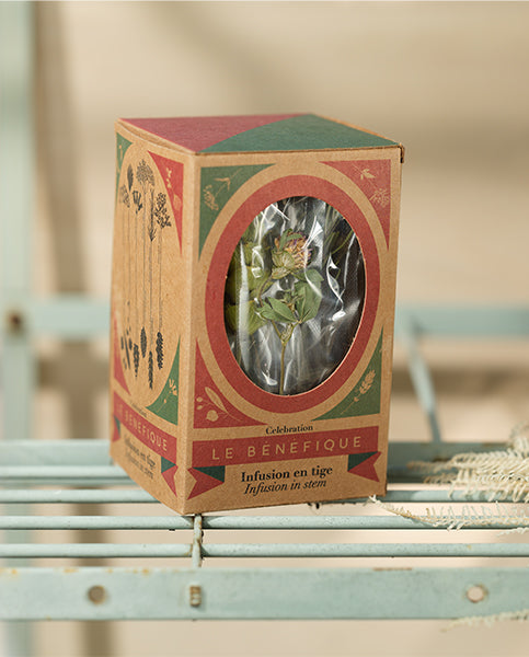 A box with a dried clover flower on a metal shelf.