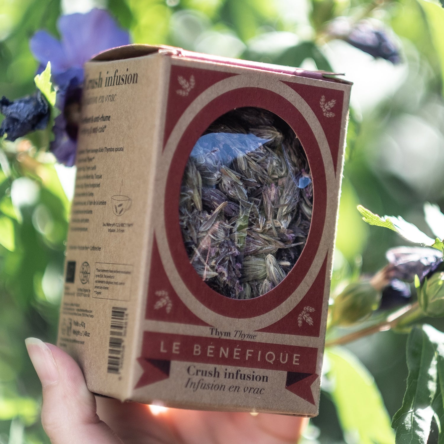 Hand holding a box of thyme "Crush Infusion" with a window showing the herbs inside.