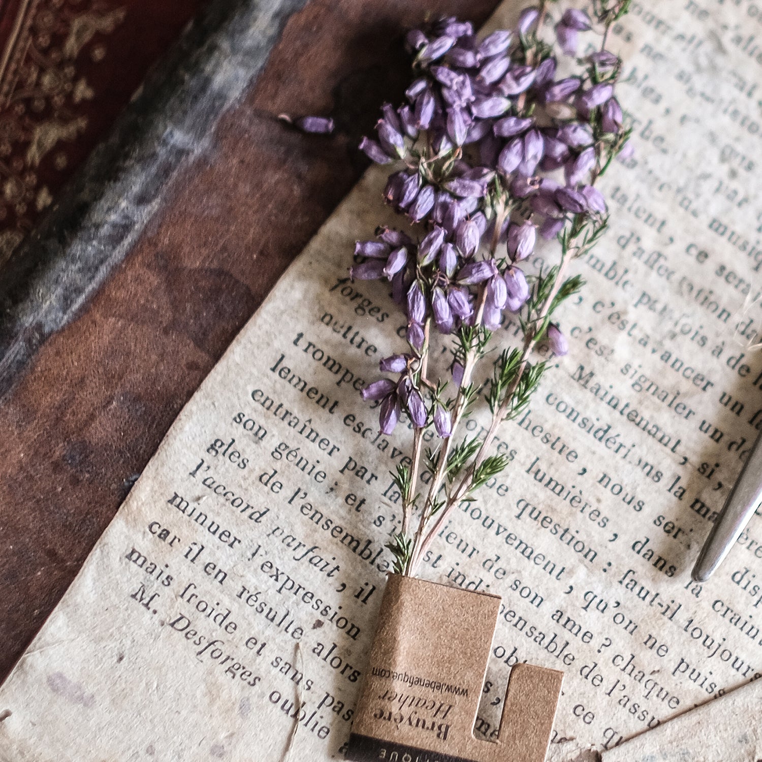 Close-up of a vintage botanical arrangement featuring purple heather and antique French texts.