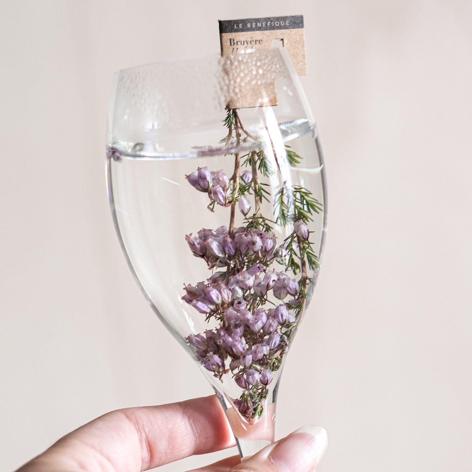 Clear wine glass filled with water and a sprig of purple heather, held by a hand with manicured nails.