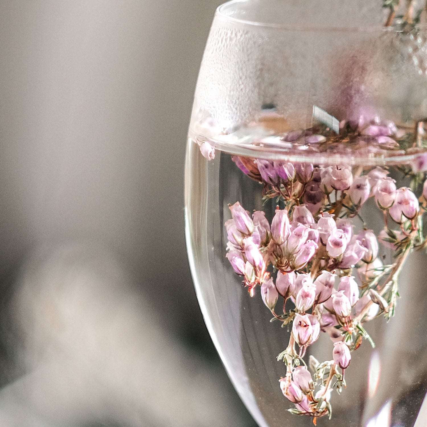 Close-up of a clear wine glass filled with water and small, light pink heather flowers.