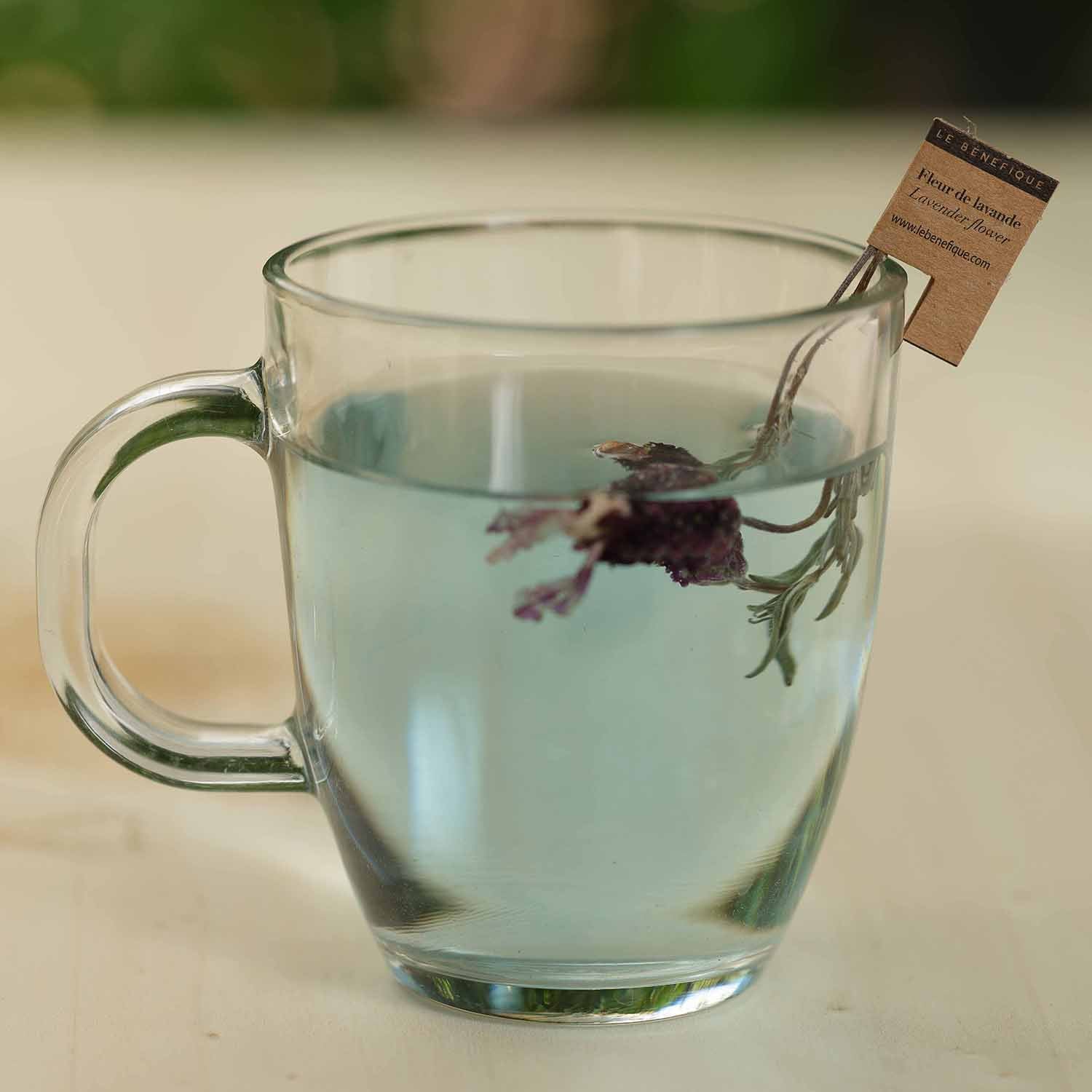 Clear glass mug with light blue liquid, lavender flower, and tag.