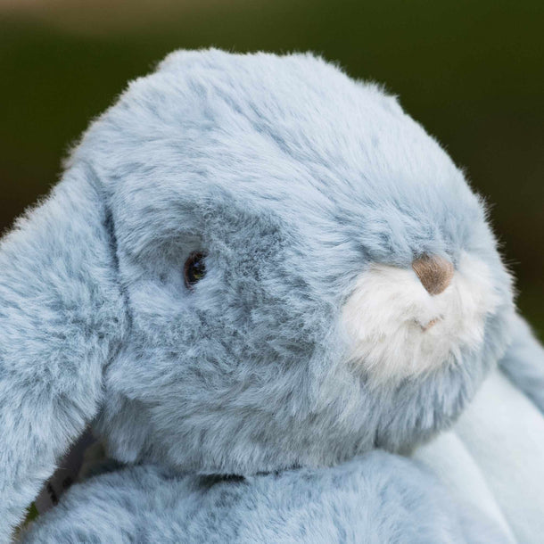 Close-up of a plush blue bunny toy with a blurred green background
