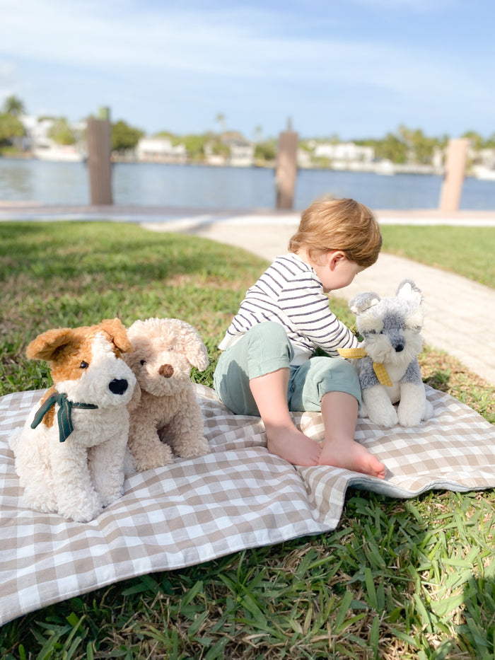 Child playing with stuffed animals on a checkered blanket by a waterfront.