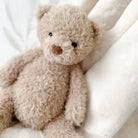 Tan teddy bear sitting on a cream blanket.