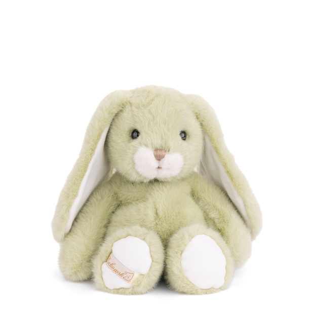 Green plush bunny toy with white paws on a white background