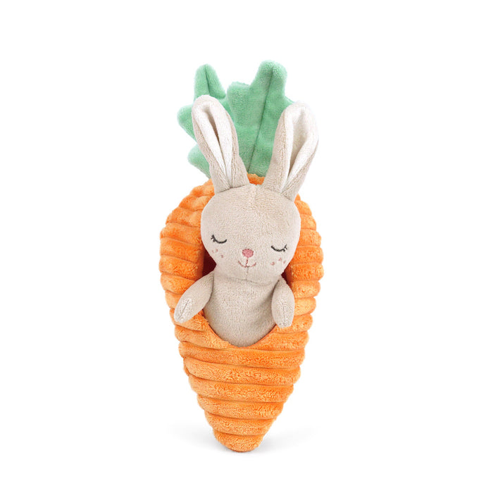 Plush toy rabbit inside a carrot-shaped container on a white background