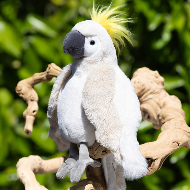 White parrot plush toy with a yellow crest on a branch against a green background