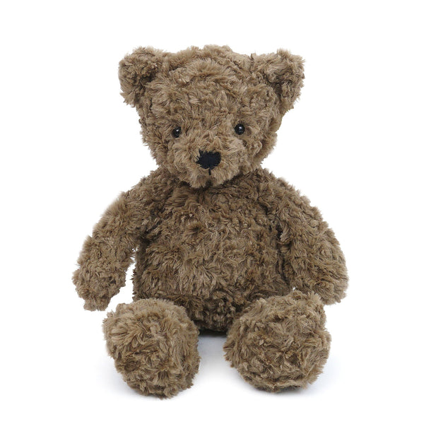 Brown, plush teddy bear sitting on a white background.