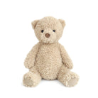 Beige teddy bear with furry texture.