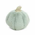 Light green, furry, pumpkin decoration with a gold stem.