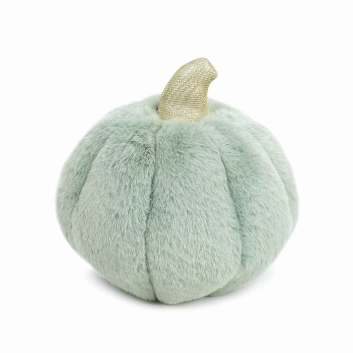Light green, furry, pumpkin decoration with a gold stem.