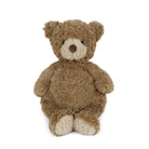 Brown teddy bear on a white background