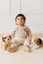 Infant sitting with plush dogs, wearing beige sweater, overalls, and booties.
