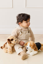 Baby in overalls with two stuffed dogs.