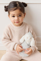 Toddler girl in knitwear holding a plush bunny.