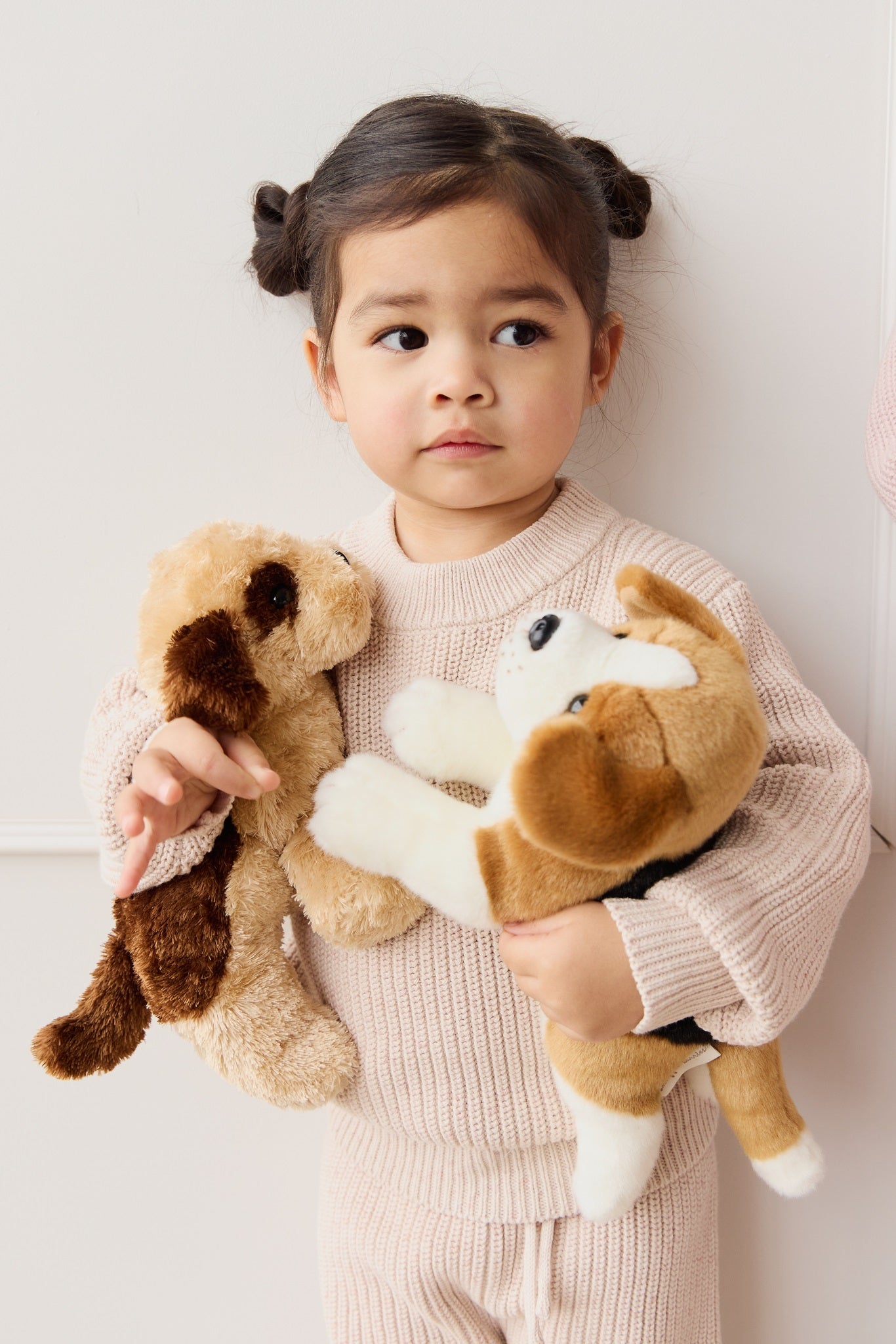 Young girl holding two stuffed dogs.