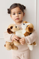 Toddler holding two stuffed dog toys. Child wears a matching beige knitted sweater and pants. White background.