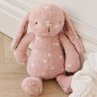 Pink plush rabbit with white hearts.