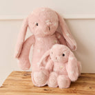 Two pink plush bunnies with white hearts.
