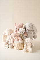Collection of stuffed animals in a basket.