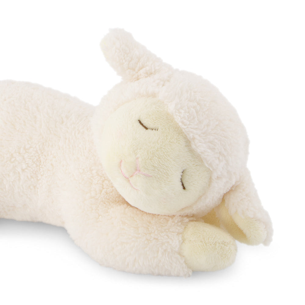 White plush toy sheep on a white background