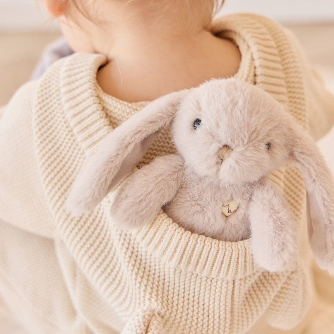 Infant in knit sweater with stuffed rabbit toy in pouch.