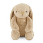 Tan stuffed bunny sitting.