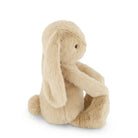 Tan stuffed bunny sitting.