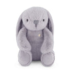 Grey plush bunny with heart detail.