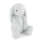 Light blue plush bunny sitting.