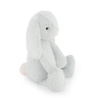 Light blue plush bunny toy with pink tail.