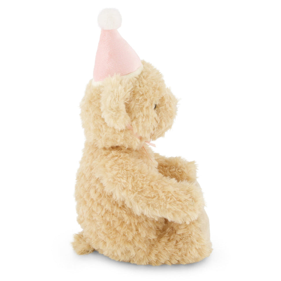 Tan teddy bear with a pink party hat.