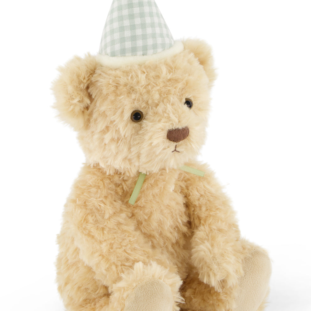 Teddy bear wearing a checkered party hat on a white background