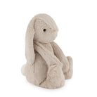 Beige stuffed bunny sitting on a white background.