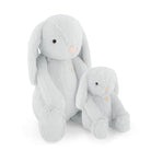 Two light blue plush bunnies.