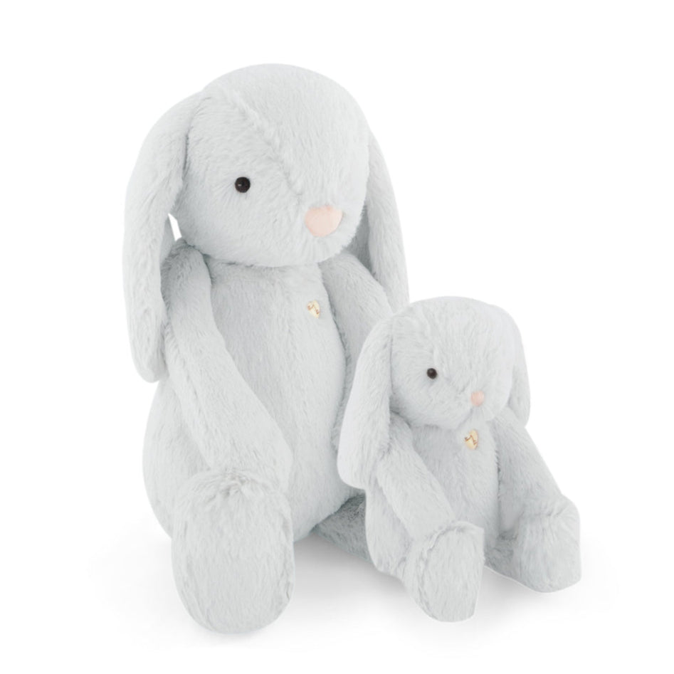 Two light blue plush bunnies.