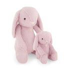 Two pink plush bunnies, one larger and one smaller, sitting together on a white surface.