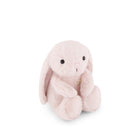 Pink stuffed bunny sitting.