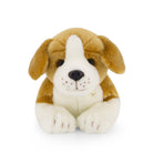 Tan and white stuffed dog toy.