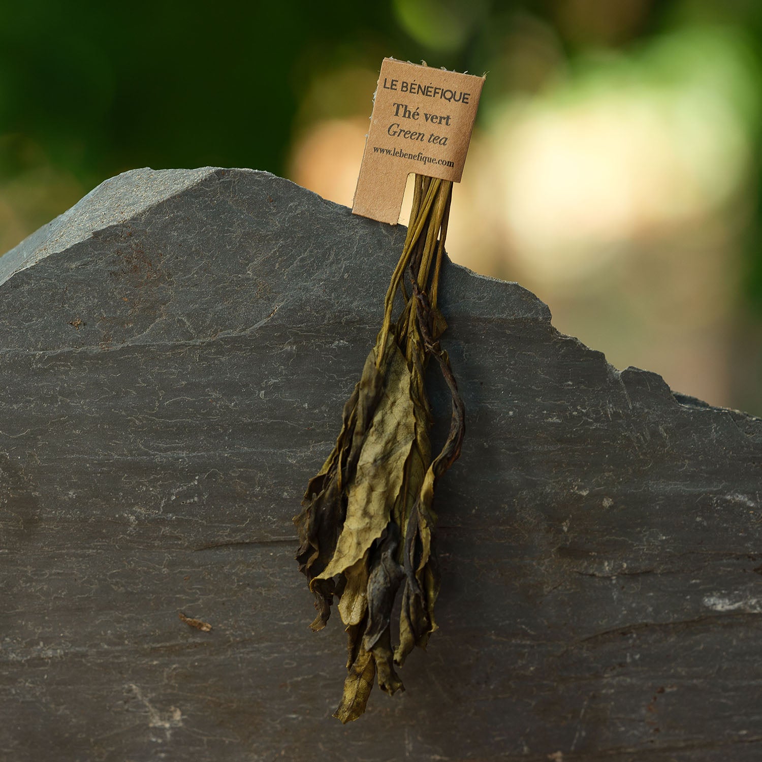 Dried green tea leaves with a label on a gray rock.