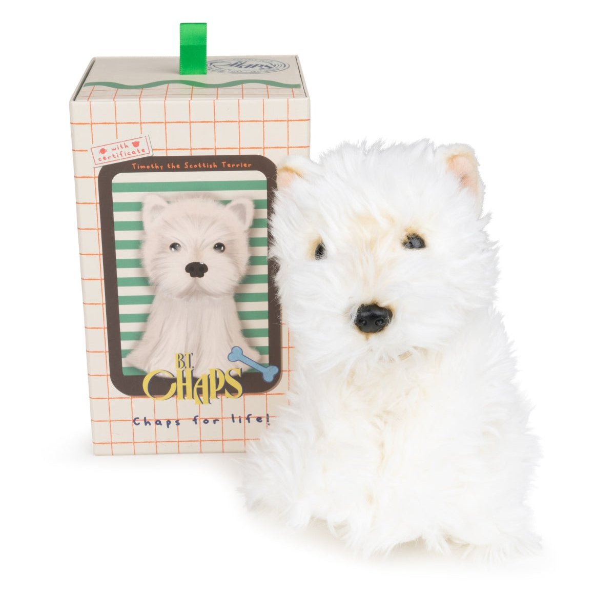 Stuffed white Westie dog with box.
